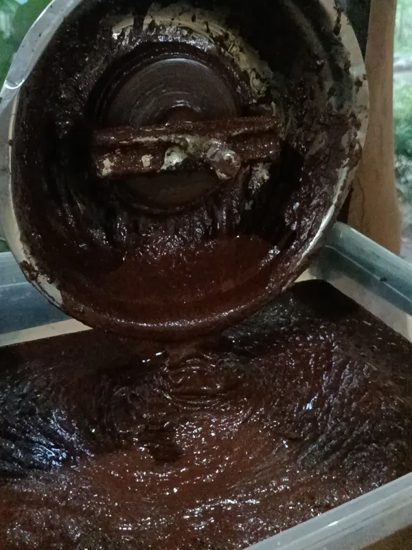 Cacao criollo 100% puro de la Sierra Nevada